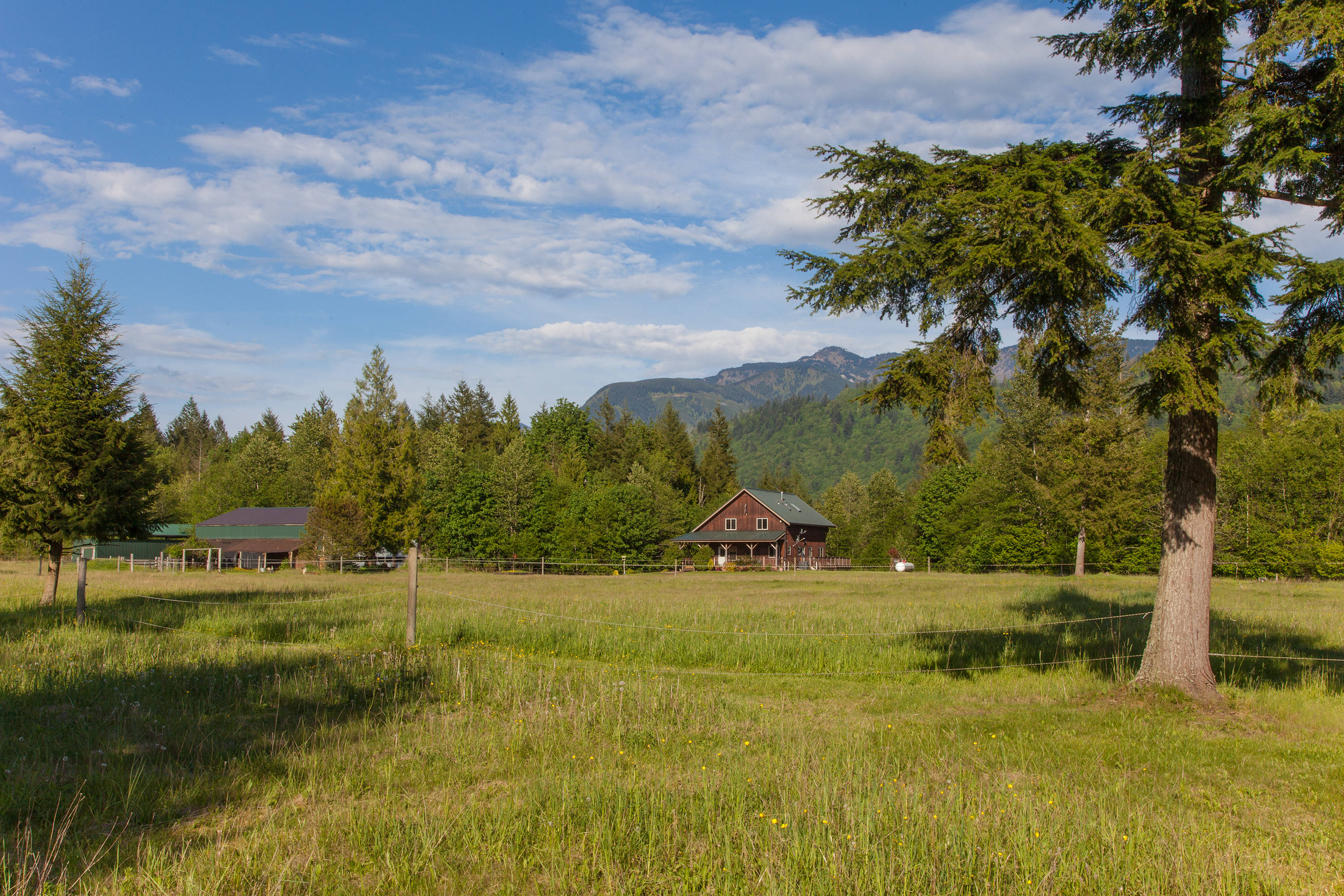 PRICE REDUCED on Sunny Mountainview Horse Farm